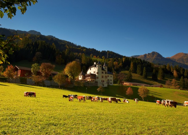 Weitmoser Schlössl im Sommer